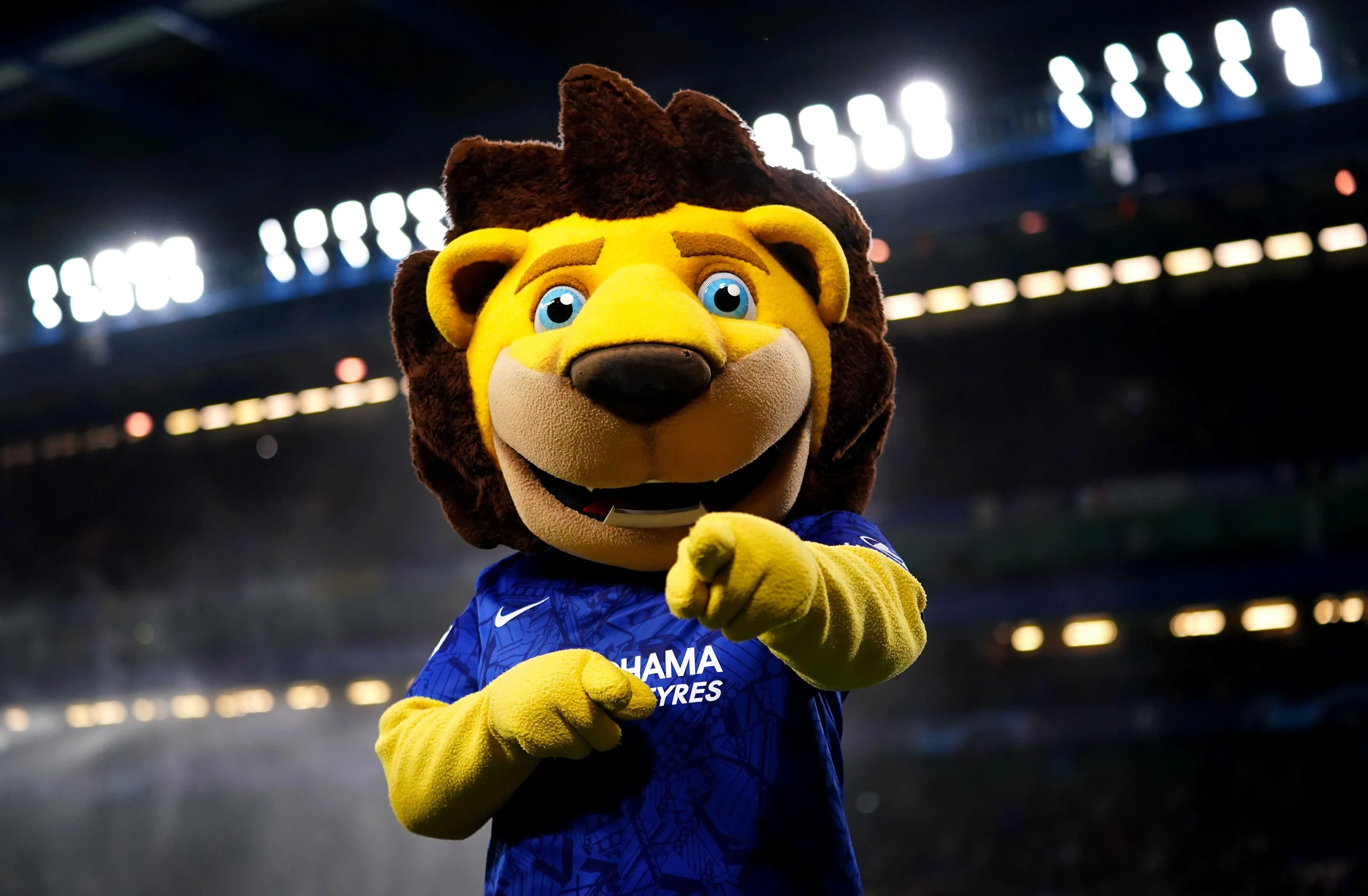 Q10-Stamford-The-Lion-scaled